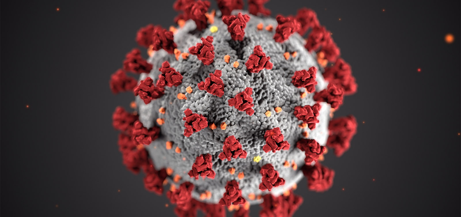Смъртните случаи причинени от коронавирус вече са над 3 милиона